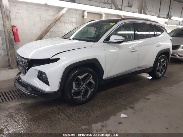 Hyundai Tucson 2024 KM8JCCD14RU168029 Image 2
