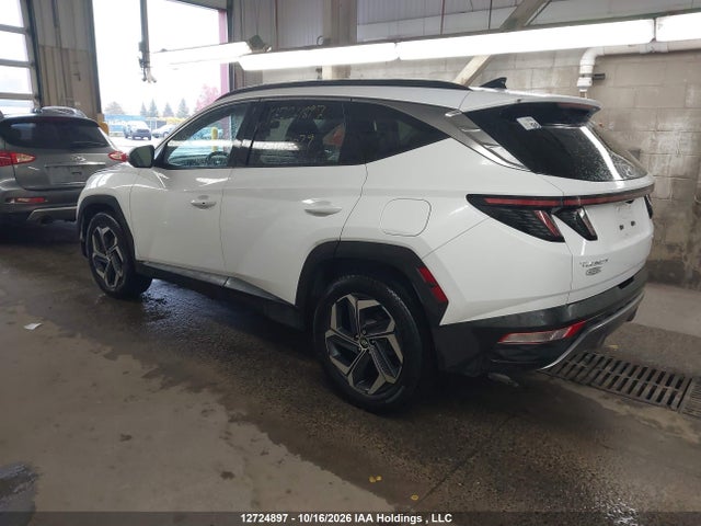 Hyundai Tucson 2024 KM8JCCD14RU168029 Image 3