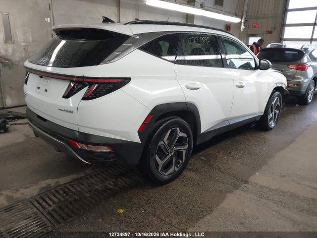 Hyundai Tucson 2024 KM8JCCD14RU168029 Image 4
