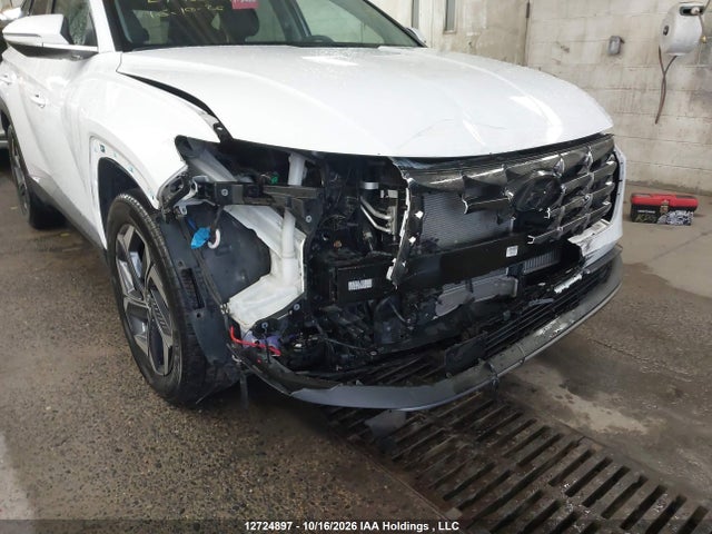 Hyundai Tucson 2024 KM8JCCD14RU168029 Image 6