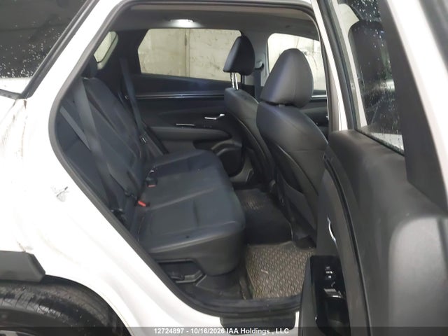 Hyundai Tucson 2024 KM8JCCD14RU168029 Image 8