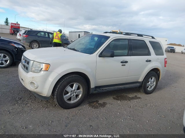 12711187 :رقم المزاد ، 1FMCU9DG3BKA00610 vin ، 2011 Ford Escape Xlt Automatic مزاد بيع