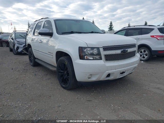 Auction sale of the 2009 Chevrolet Tahoe Ls, vin: 1GNFK13059R244359, lot number: 12708557