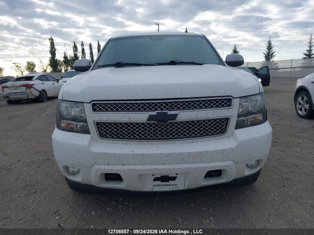 Auction sale of the 2009 Chevrolet Tahoe Ls, vin: 1GNFK13059R244359, lot number: 12708557