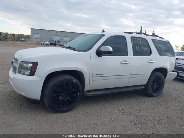 Auction sale of the 2009 Chevrolet Tahoe Ls, vin: 1GNFK13059R244359, lot number: 12708557
