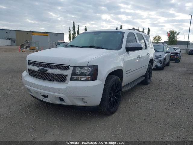Auction sale of the 2009 Chevrolet Tahoe Ls, vin: 1GNFK13059R244359, lot number: 12708557