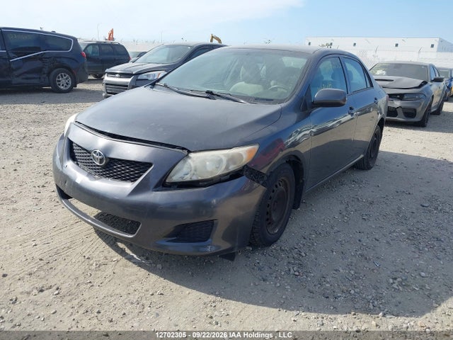 Продаж на аукціоні авто 2009 Toyota Corolla Ce, vin: 2T1BU40E29C078010, номер лоту: 12702305