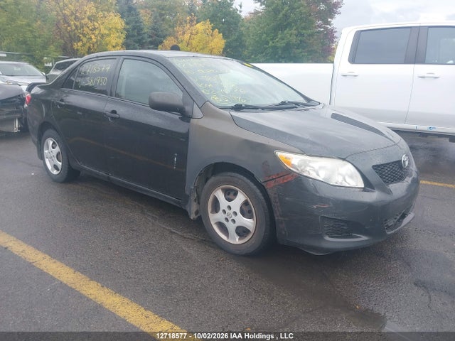 2010 Toyota Corolla Ce მანქანა იყიდება აუქციონზე, vin: 2T1BU4EE2AC381950, აუქციონის ნომერი: 12718577