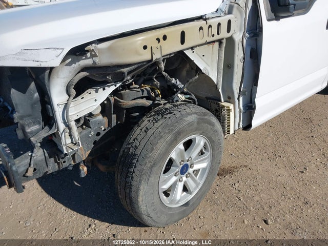 Продажа на аукционе авто 2019 Ford F-150 Xl, vin: 1FTMF1C51KKD59328, номер лота: 12725062