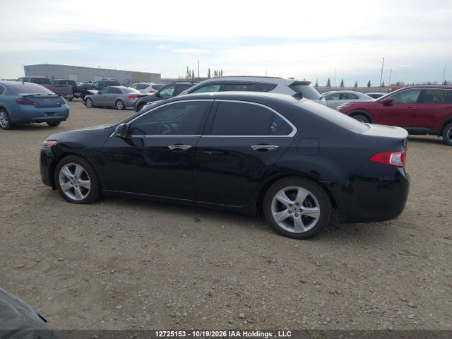 12725153 :رقم المزاد ، JH4CU26689C012383 vin ، 2009 Acura Tsx مزاد بيع