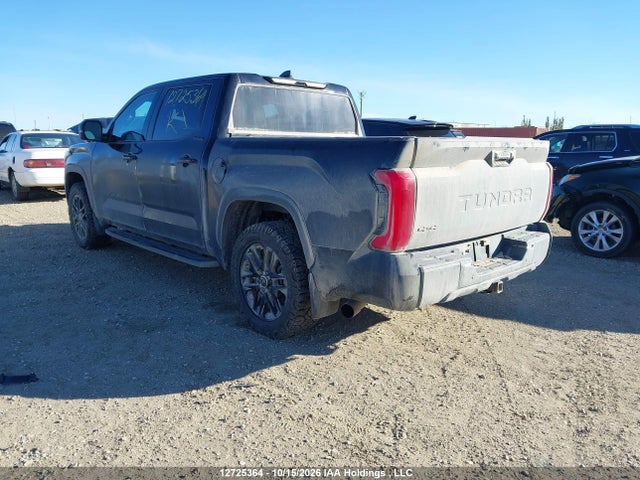 Aukcja sprzedaży 2024 Toyota Tundra Crewmax Limited/crewmax Platinum/crewmax 1794, vin: 5TFWA5DB4RX133705, numer aukcji: 12725364