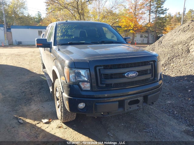 Ford F-150 Fx4 2014 1FTFW1EFXEFB21067 Image 12