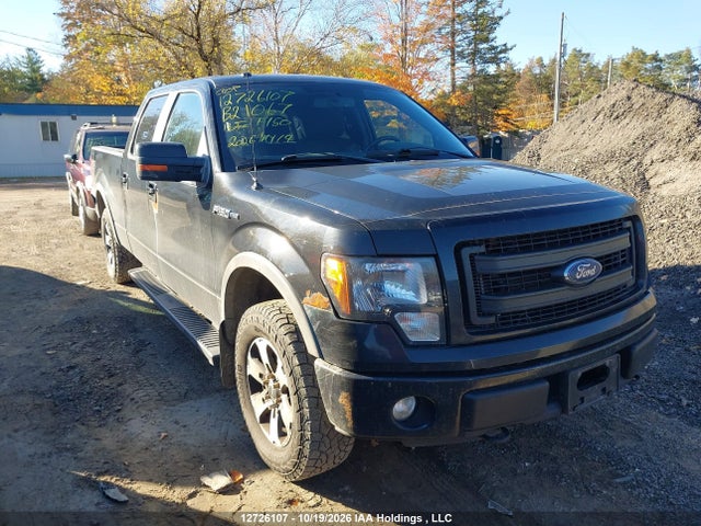 Ford F-150 Fx4 2014 1FTFW1EFXEFB21067 Image 13