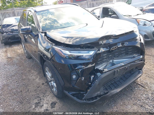 Auction sale of the 2023 Toyota Rav4 Xle, vin: 2T3R1RFV0PC365085, lot number: 12675067