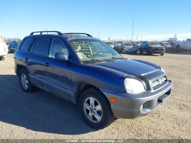 Auction sale of the 2006 Hyundai Santa Fe Gls/limited, vin: KM8SB73D96U103215, lot number: 12726267