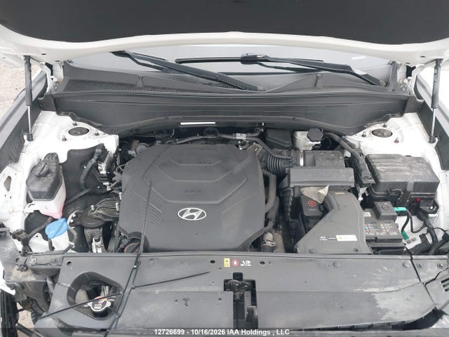 Hyundai Palisade Limited 2024 KM8R5DGE4RU675045 Image 10