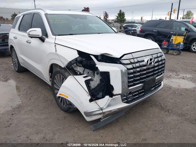 Hyundai Palisade Limited 2024 KM8R5DGE4RU675045 Image 6