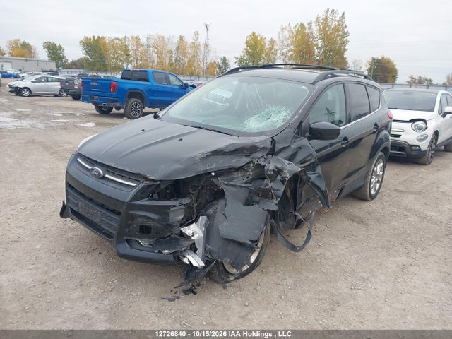 Auction sale of the 2014 Ford Escape Se, vin: 1FMCU9GX5EUA17445, lot number: 12726840