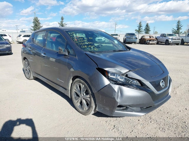 Nissan Leaf S/sv/sl 2018 1N4AZ1CP1JC312181 главное изображение
