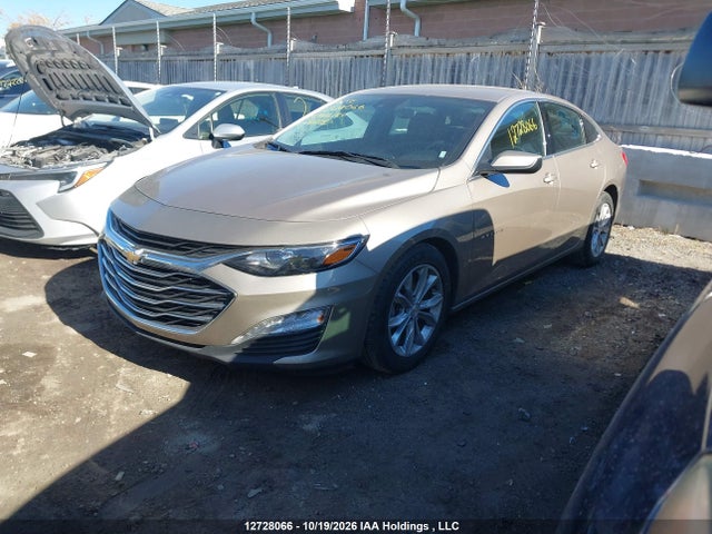 Chevrolet MALIBU 1LT 2023 1G1ZD5ST7PF228383 Image 2