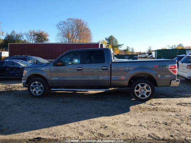 Ford F-150 2014 1FTFW1ET4EFA64175 Image 13