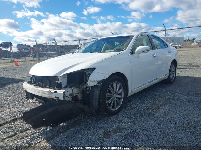 2011 Lexus Es 350 350 მანქანა იყიდება აუქციონზე, vin: JTHBK1EG5B2431390, აუქციონის ნომერი: 12728316