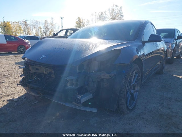 Auction sale of the 2023 Tesla Model 3 Long Range, vin: LRW3E1EB8PC924822, lot number: 12728558