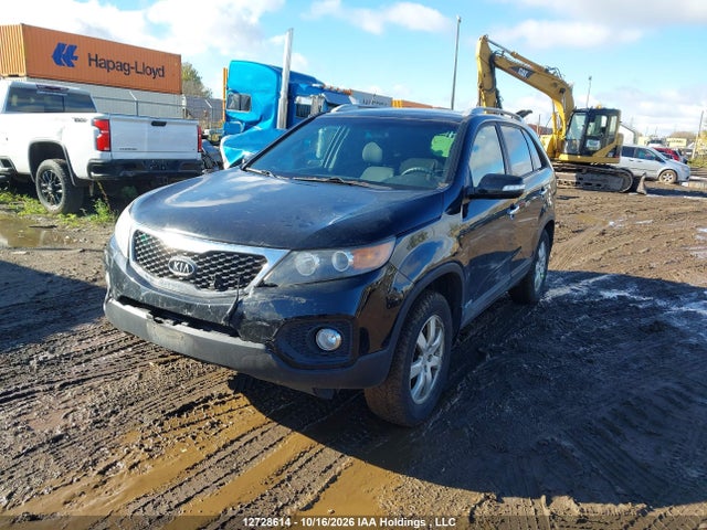 Продаж на аукціоні авто 2011 Kia Sorento Lx, vin: 5XYKTCA15BG180226, номер лоту: 12728614