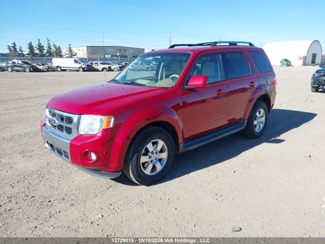 2010 Ford Escape Limited მანქანა იყიდება აუქციონზე, vin: 1FMCU9EG8AKD29736, აუქციონის ნომერი: 12729015