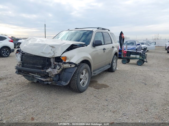 Aukcja sprzedaży 2010 Ford Escape Xlt Automatic, vin: 1FMCU9DGXAKC70044, numer aukcji: 12729075