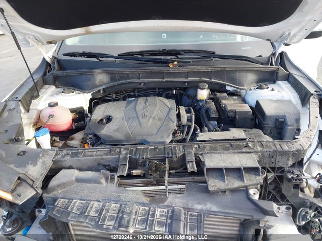Продаж на аукціоні авто 2025 Kia Sorento Lx, vin: 5XYRGDJC6SG311951, номер лоту: 12729246