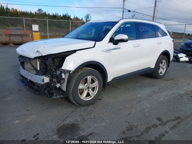 Продаж на аукціоні авто 2025 Kia Sorento Lx, vin: 5XYRGDJC6SG311951, номер лоту: 12729246