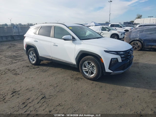 Продаж на аукціоні авто 2025 Hyundai Tucson Sel, vin: 5NMJBCDE4SH486045, номер лоту: 12729790