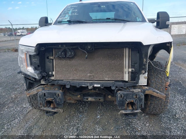 2020 Ford F-150 Xl მანქანა იყიდება აუქციონზე, vin: 1FTFX1E58LKD69147, აუქციონის ნომერი: 12729991