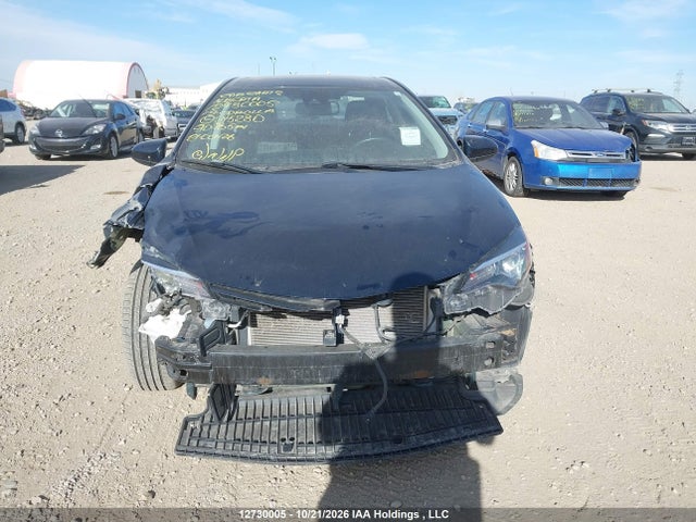 2T1BURHE6KC215280 Toyota Corolla L/le/xle/se/xse