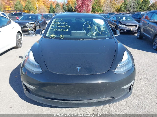 12730181 :رقم المزاد ، 5YJ3E1EB4KF393827 vin ، 2019 Tesla Model 3 Long Range/performance مزاد بيع
