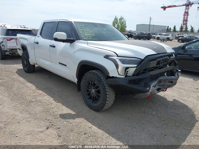 Продаж на аукціоні авто 2024 Toyota Tundra Limited 4x4, vin: 5TFJA5EC3RX033063, номер лоту: 12667278