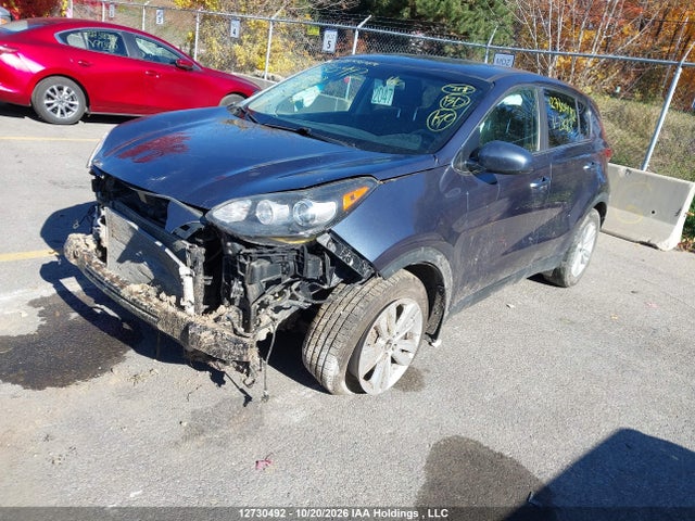 Auction sale of the 2017 Kia Sportage Lx, vin: KNDPM3AC7H7286168, lot number: 12730492