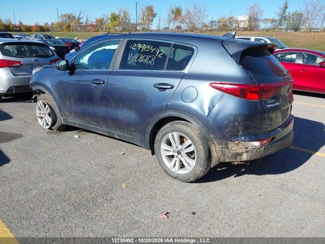 Auction sale of the 2017 Kia Sportage Lx, vin: KNDPM3AC7H7286168, lot number: 12730492
