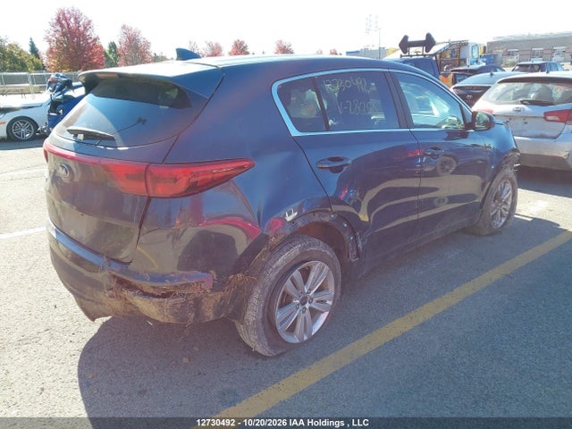 Auction sale of the 2017 Kia Sportage Lx, vin: KNDPM3AC7H7286168, lot number: 12730492