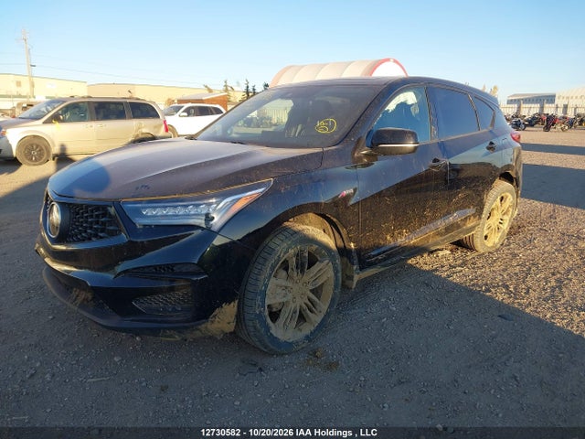 Acura Rdx A-spec 2019 5J8TC2H69KL807967 Image 2