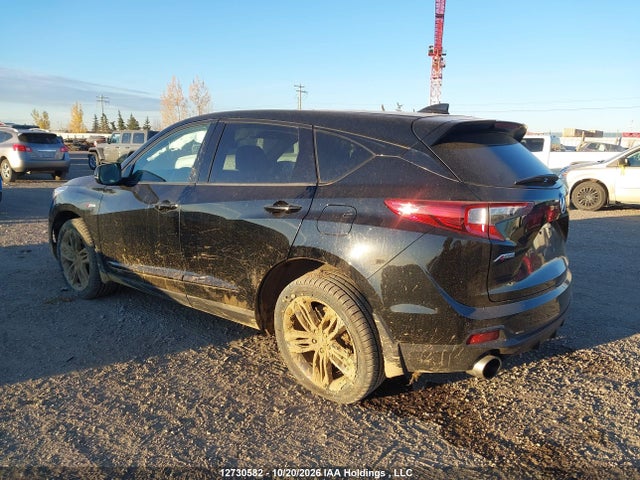 Acura Rdx A-spec 2019 5J8TC2H69KL807967 Image 3