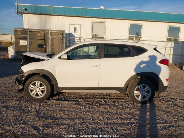 Hyundai TUCSON SE 2017 KM8J2CA42HU484447 Image 15