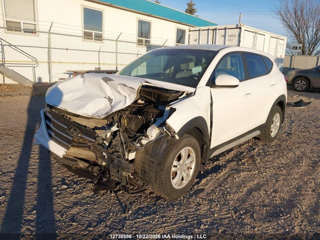 Hyundai TUCSON SE 2017 KM8J2CA42HU484447 Image 2