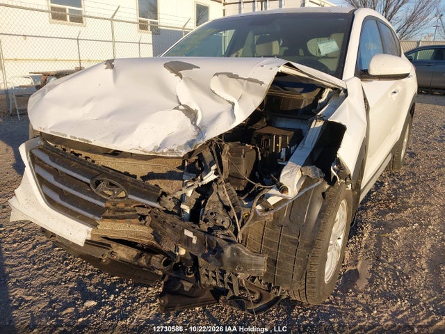 Hyundai TUCSON SE 2017 KM8J2CA42HU484447 Image 6