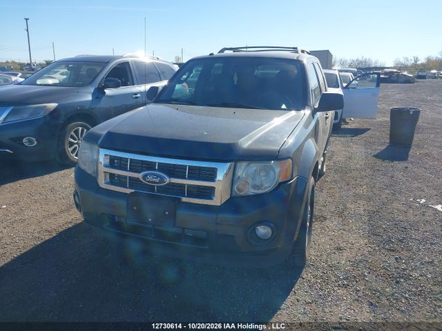 12730614 :رقم المزاد ، 1FMCU03G69KA40929 vin ، 2009 Ford Escape Xlt مزاد بيع