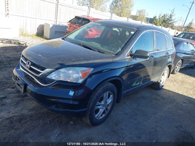 2010 Honda Cr-v Ex-l მანქანა იყიდება აუქციონზე, vin: 5J6RE4H79AL809279, აუქციონის ნომერი: 12731180