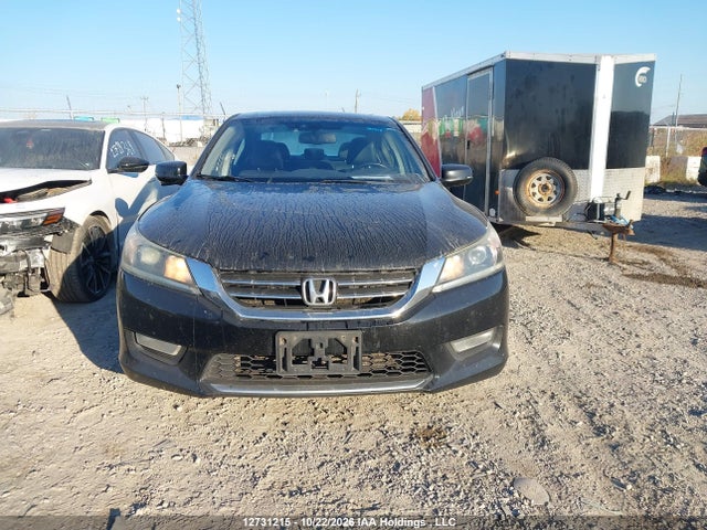 12731215 :رقم المزاد ، 1HGCR2F87DA806043 vin ، 2013 Honda Accord Ex-l مزاد بيع