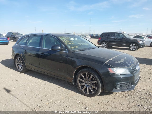 Продаж на аукціоні авто 2009 Audi A4 Allroad, vin: WAUVF68K59A158769, номер лоту: 12731314
