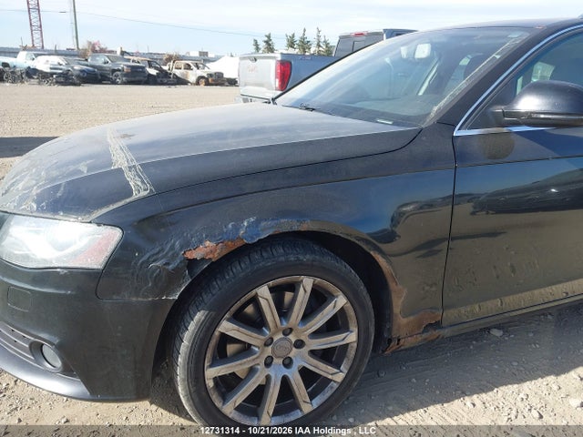 Продаж на аукціоні авто 2009 Audi A4 Allroad, vin: WAUVF68K59A158769, номер лоту: 12731314